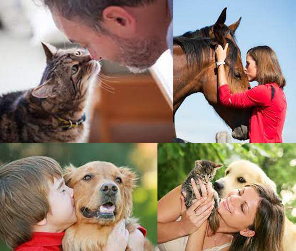 KEDVENCEINK IS MEGÉRDEMLIK A TÖRŐDÉST!